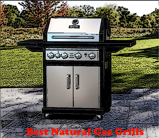 Best Natural Gas Grills