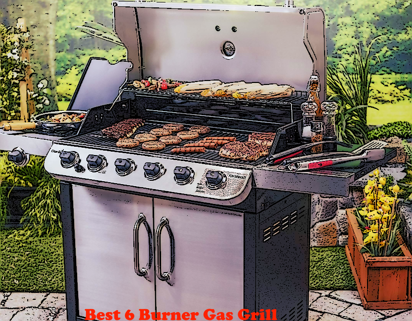 Best 6 Burner Gas Grill